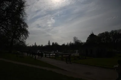 DSC_6869 (Large).JPG